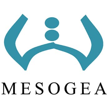 Mesogea